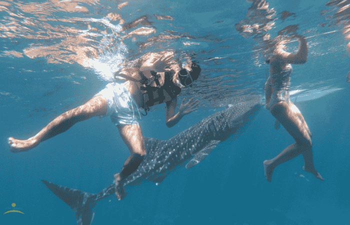 シュノーケリング