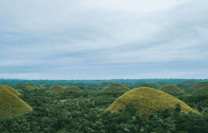 チョコレートヒルズ
