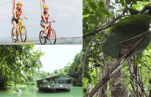 ボホール島　ツアー