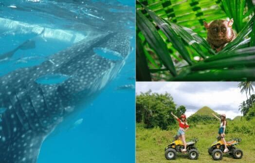 ボホール島　ツアー