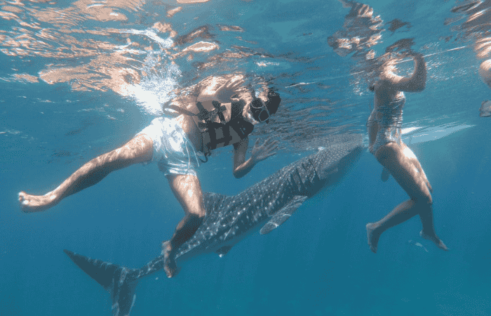 シュノーケリング