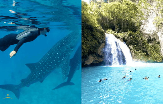 シュノーケリング　キャニオニング