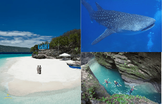 ジンベイザメ　キャニオニング　スミロン島