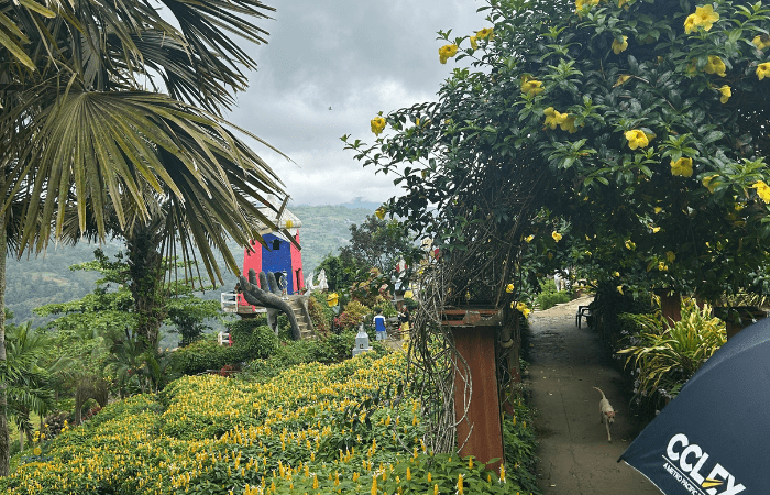 シラオガーデン