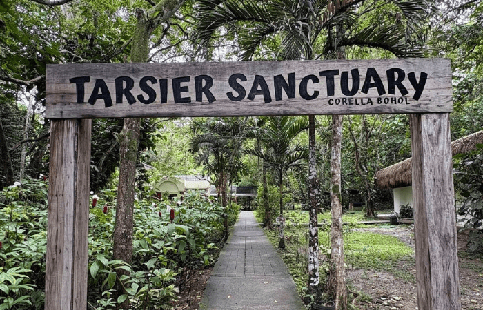 フィリピン公式ターシャ保護区