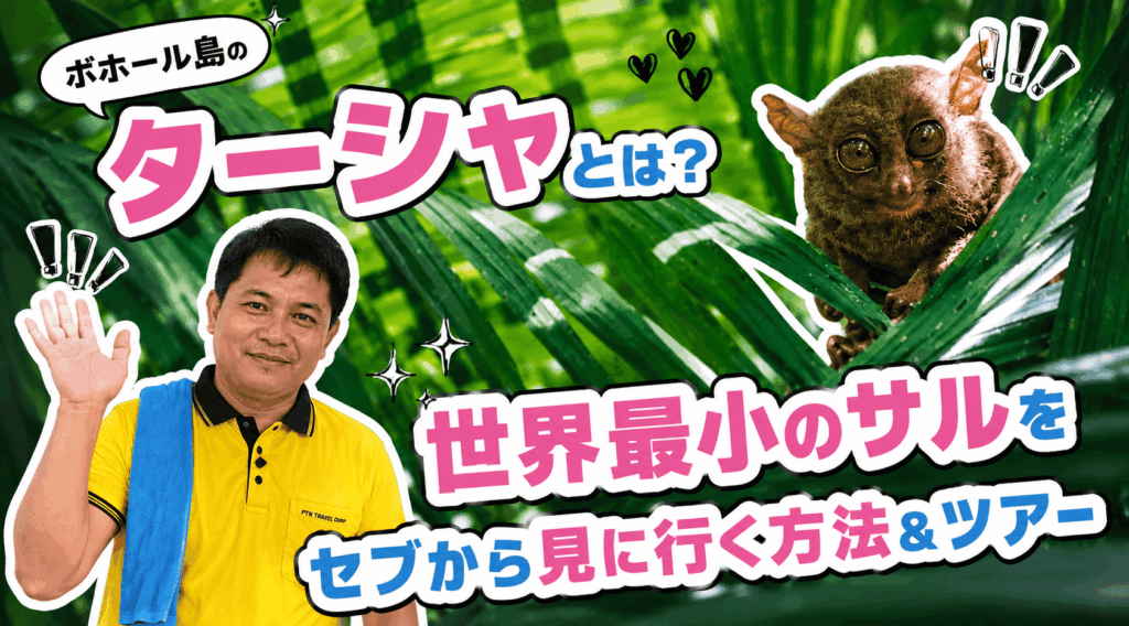 ターシャ　アイキャッチ画像