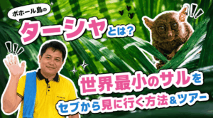 ターシャ　アイキャッチ画像