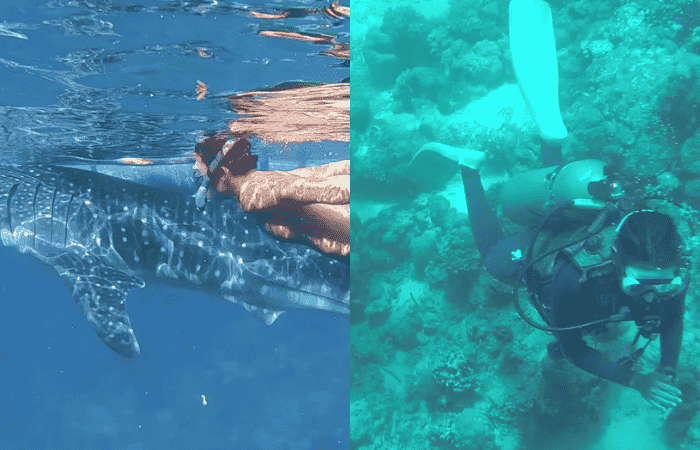 シュノーケリング　スキューバダイビング