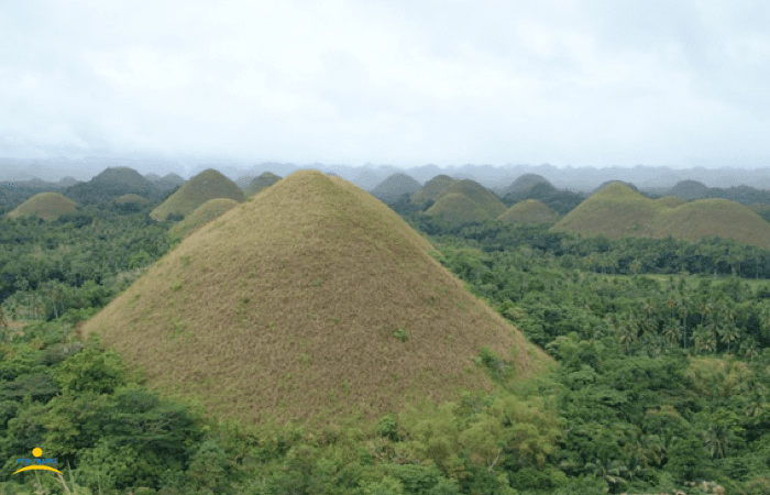 チョコレートヒルズ