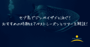 ジンベイザメベストシーズン　アイキャッチ画像