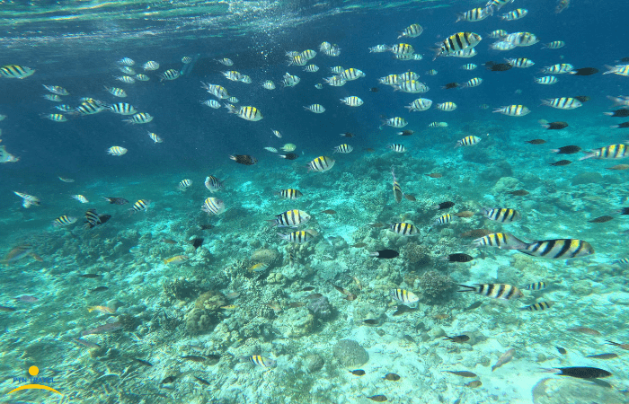 ヒルトゥガン島