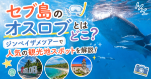 セブ島のオスロブのアイキャッチ