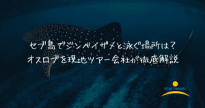 ジンベイザメ場所のアイキャッチ画像