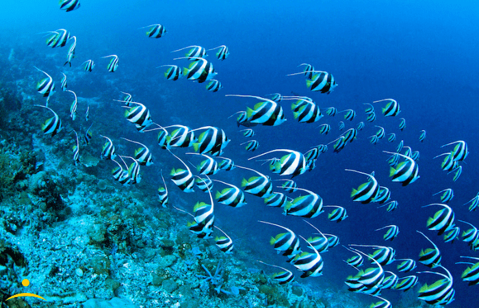 ヒルトゥガン島