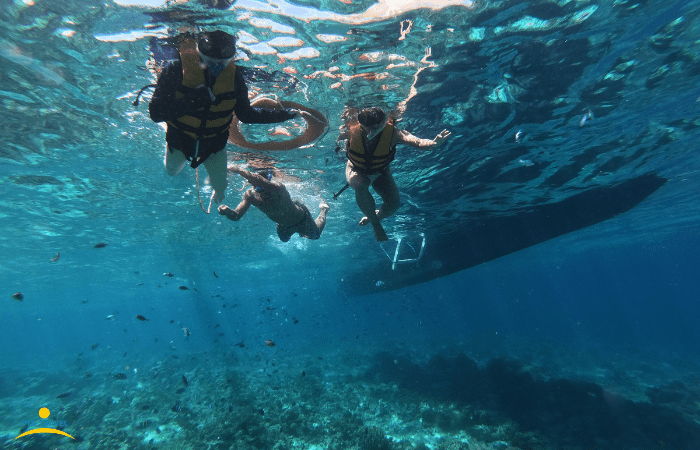 シュノーケリング