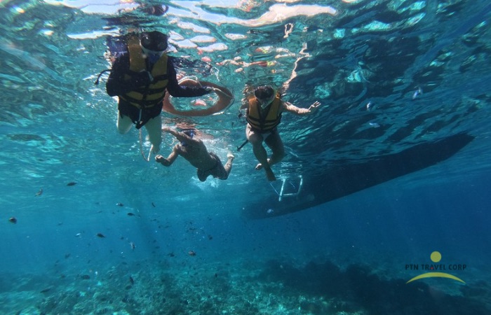 シュノーケリング