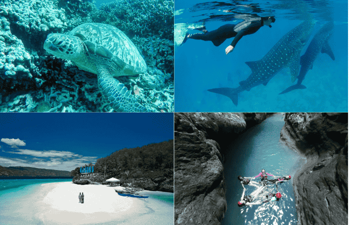 ウミガメ　ジンベイザメ　スミロン島　キャニオニング