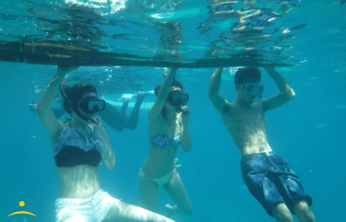 海に潜ってジンベイザメを見てる人々