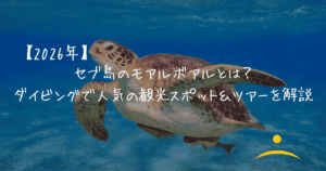 モアルボアル　アイキャッチ画像