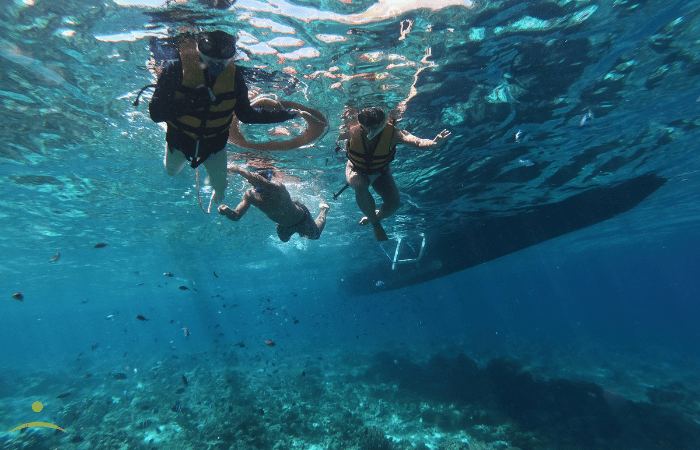 シュノーケリングしている人たち