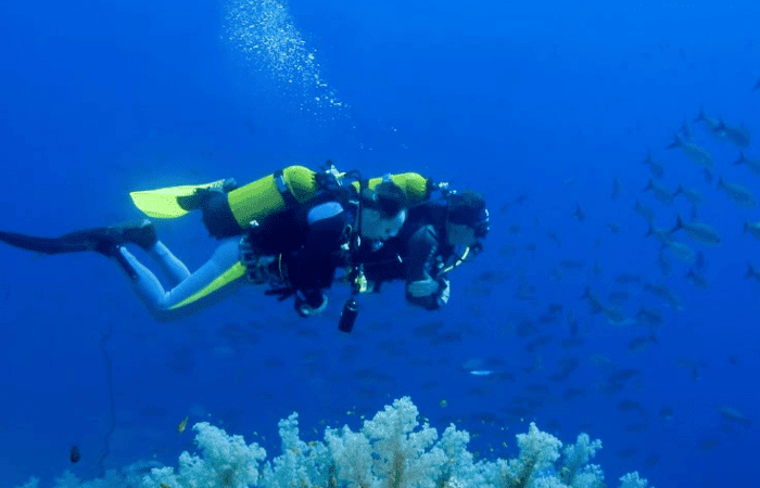 体験ダイビングをしている様子