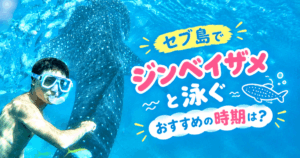 ジンベイザメ＿時期のアイキャッチ画像