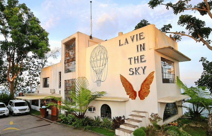 パレジャンヌスカイの外見