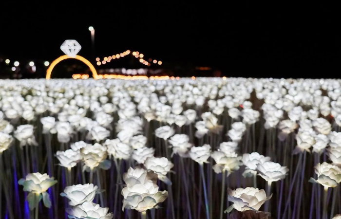 10000Roses & Cafeの写真