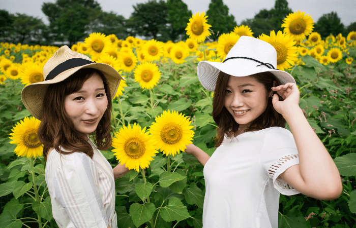 ひまわり畑で写真を撮っている人たち