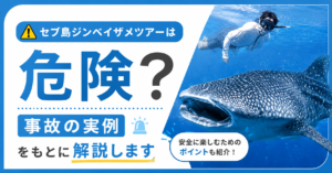 セブ島ジンベイザメ事故