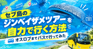 ジンベイザメ自力のアイキャッチ画像